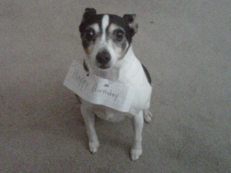 ROSCOE!